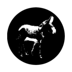 Tiny Donkey logo with a black and white silhouette of a donkey against a black circle