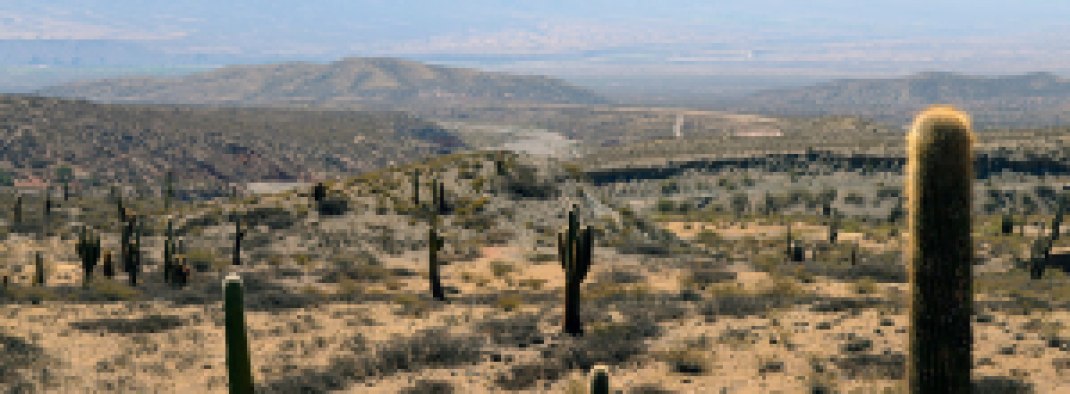 Sonora Desert hills with cactuses Tucson Arizona